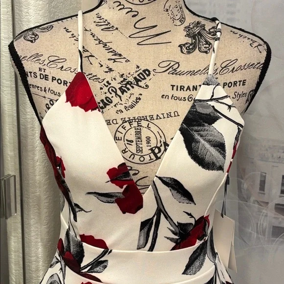 NWT Iris Red and White Rose Fit and Flare Mini Dress - Picture 2 of 9